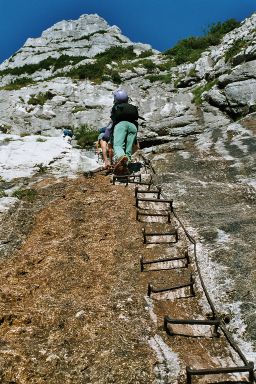 Über die Leiter nach oben